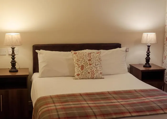 The At Ballykealey Карлоу